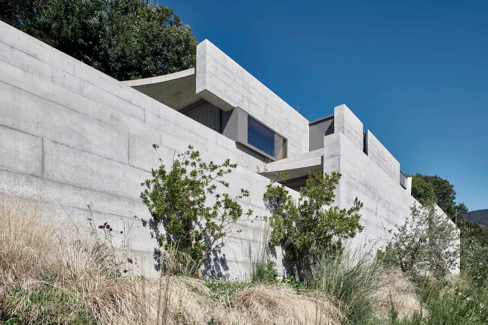 Daniela-Tonatiuh—casa_BAMBU—001--2020