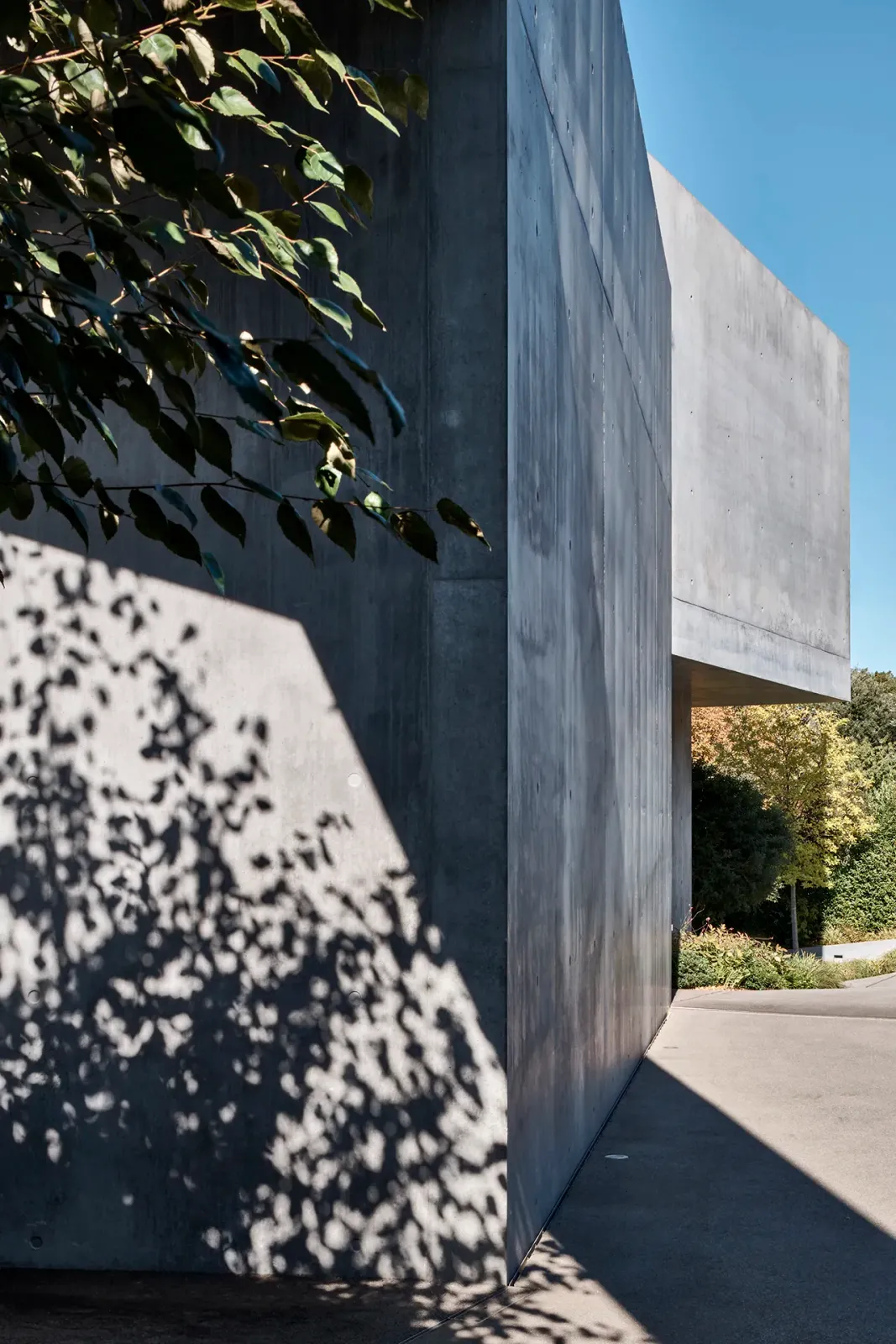 Daniela-Tonatiuh—CORPUS_FEL—003--2022