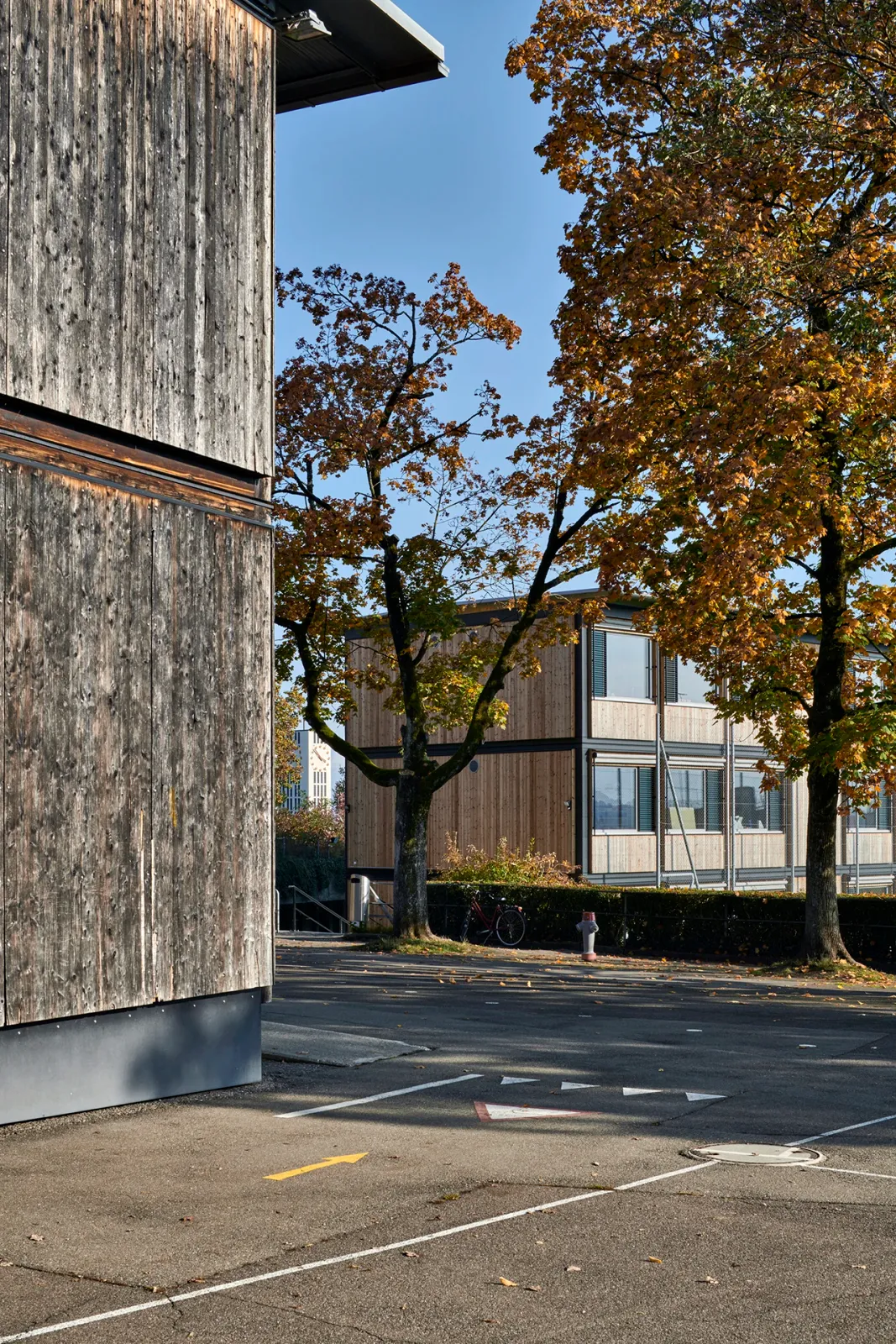 Daniela-Tonatiuh—MODULART—001--2020