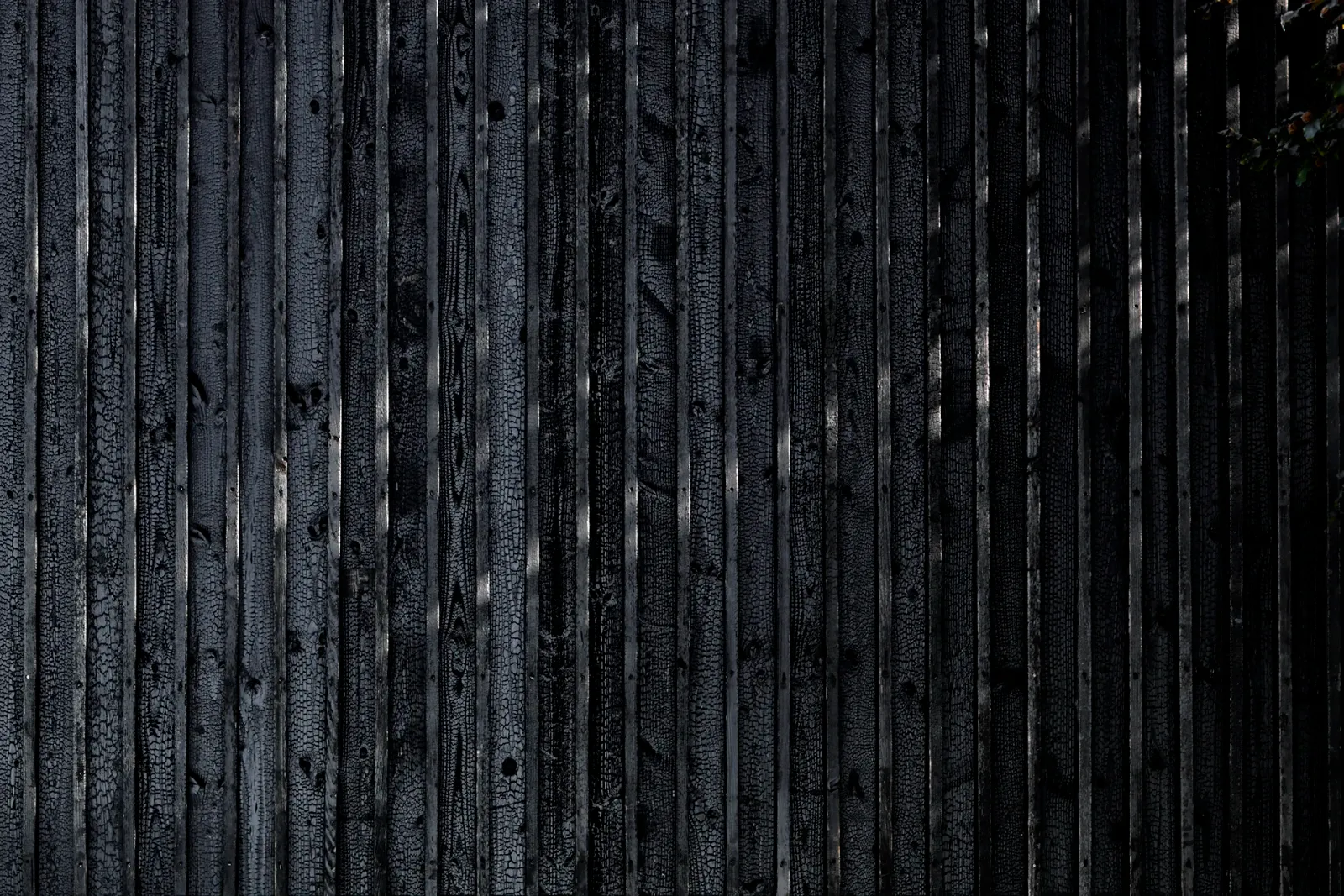 Daniela-Tonatiuh—NOVA_DI—0010--2020