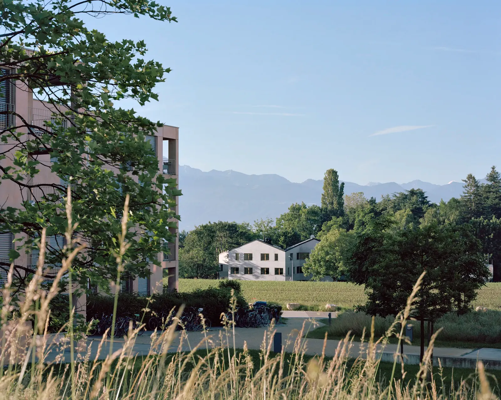 Daniela-Tonatiuh—LCA—003--2016