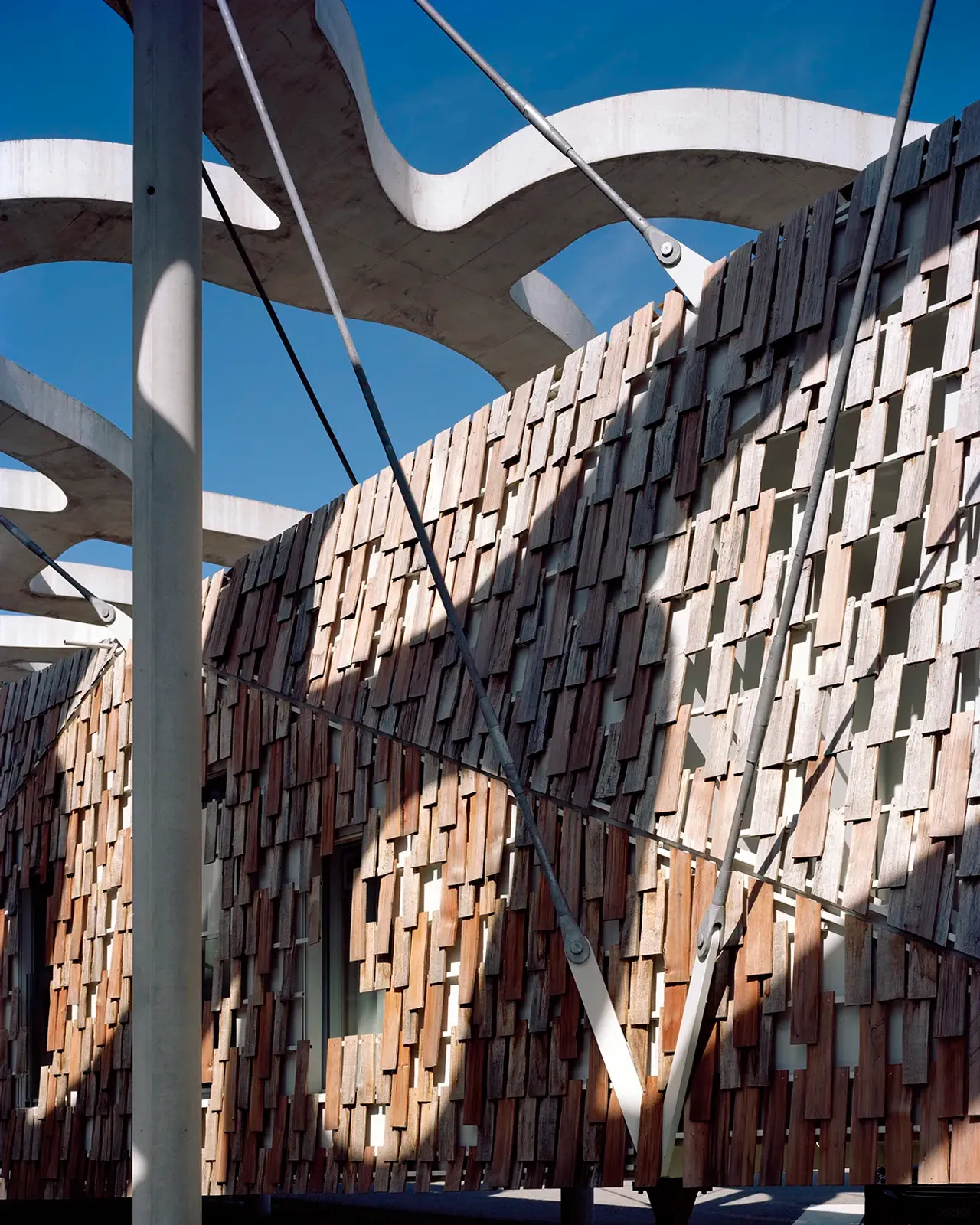 Daniela-Tonatiuh—FJM_ARCHI—0022--2018