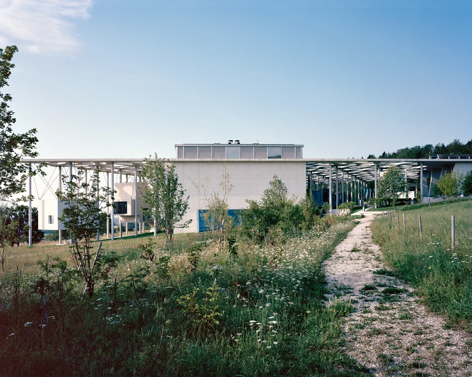 Daniela-Tonatiuh—FJM_ARCHI—0023--2018