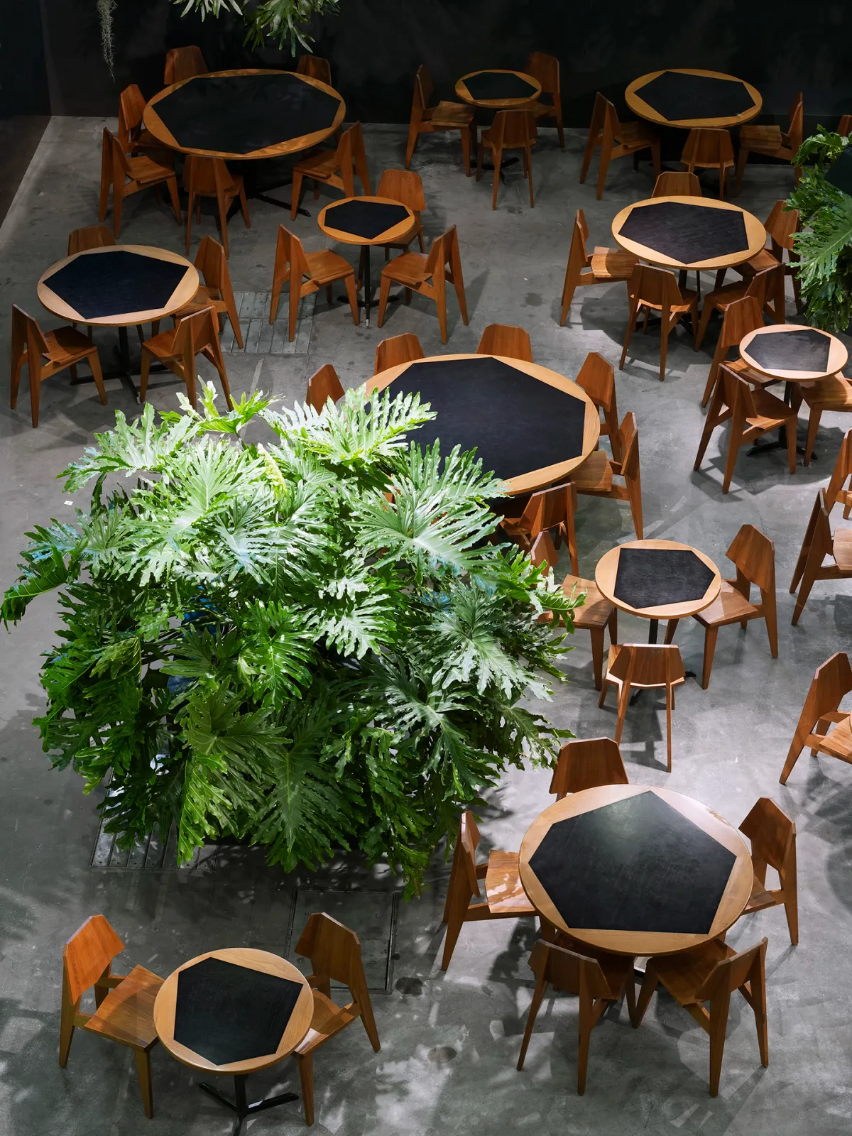 Daniela-Tonatiuh--INCH-ARTBASEL-003--2013