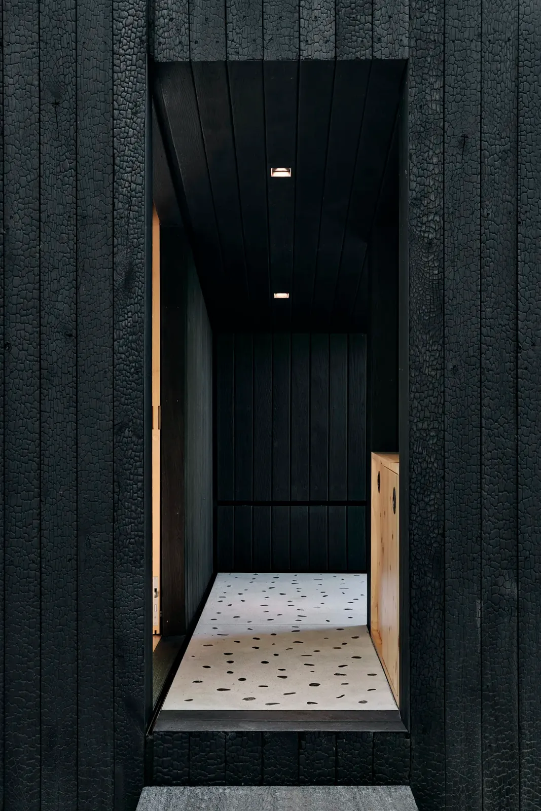 Daniela-Tonatiuh—DENTELLA—007--2021