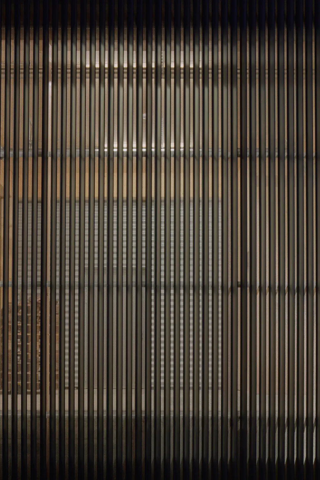 Daniela-Tonatiuh—naz_YVE—004--2020