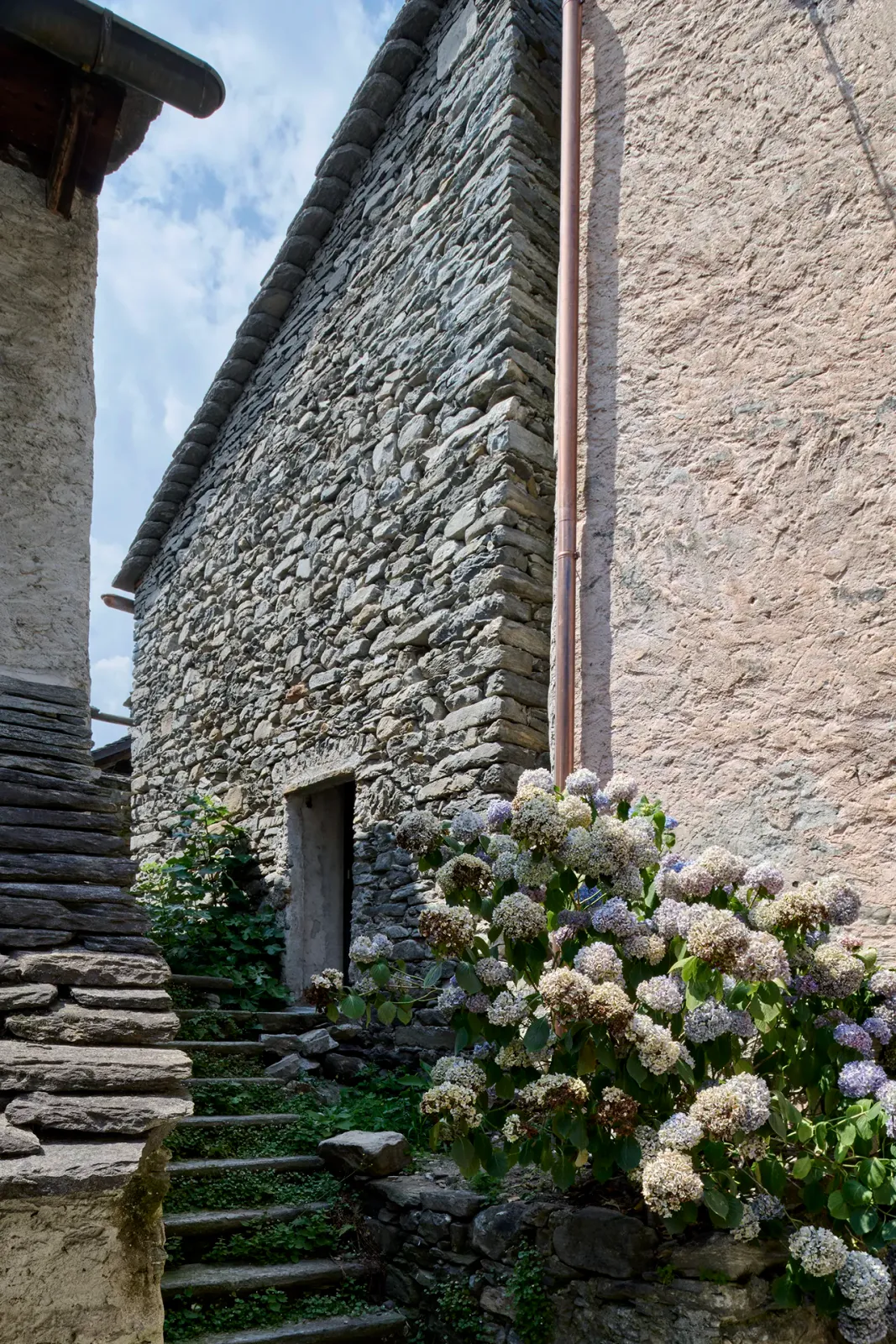 Daniela-Tonatiuh—t_REX_VERSCIO—003--2024