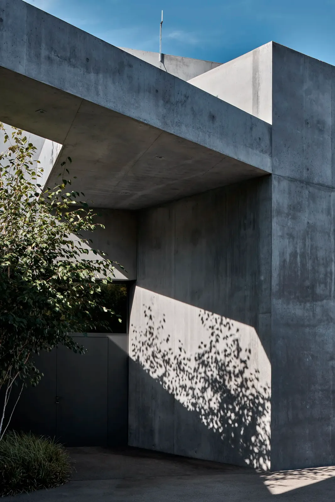 Daniela-Tonatiuh—CORPUS_FEL—004--2022