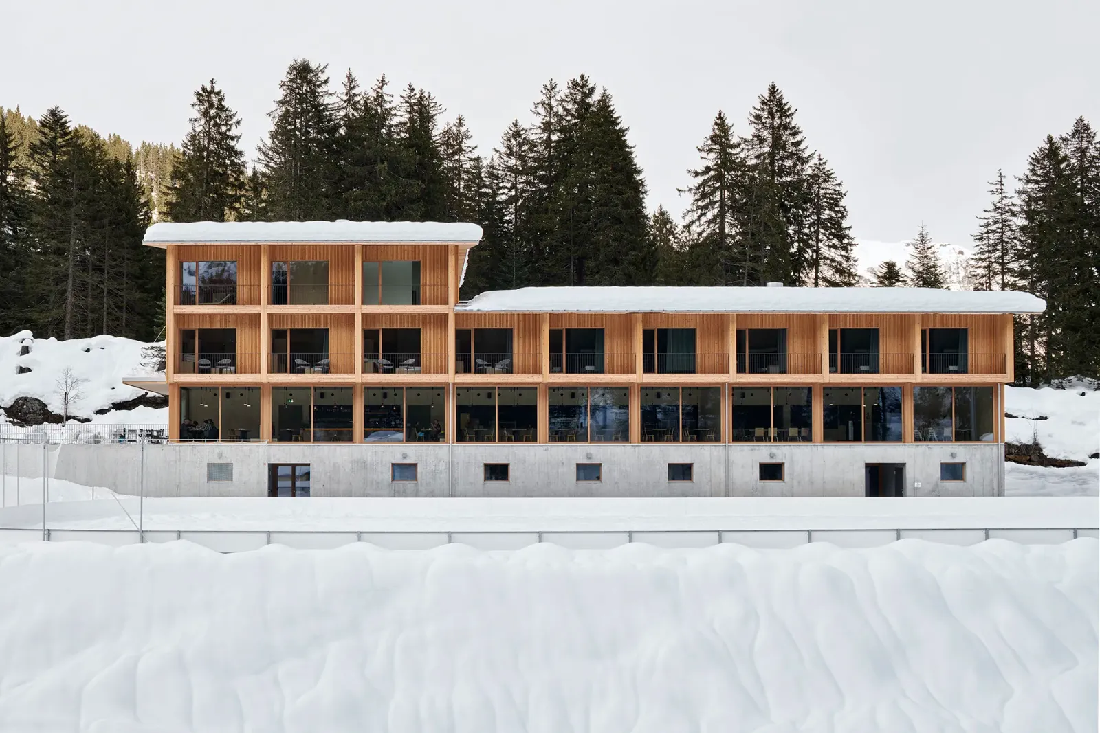 Daniela-Tonatiuh—CAMPRA—005--2019