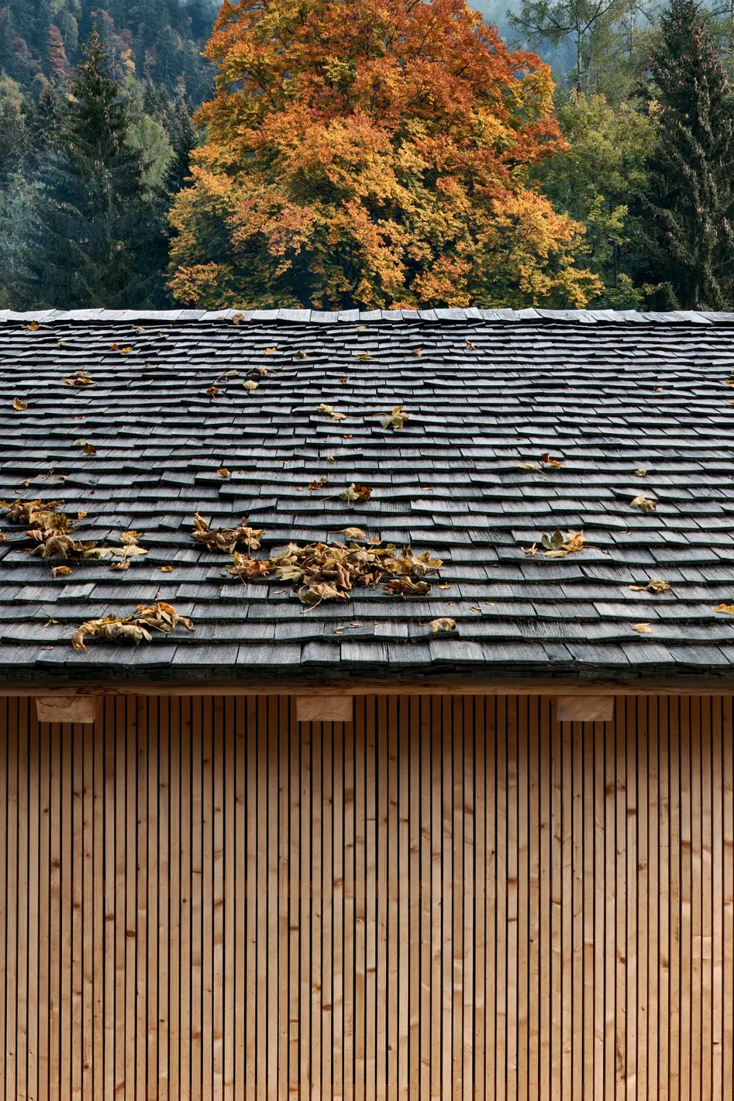 Daniela-Tonatiuh—DAVID_CLOUX—006--2021