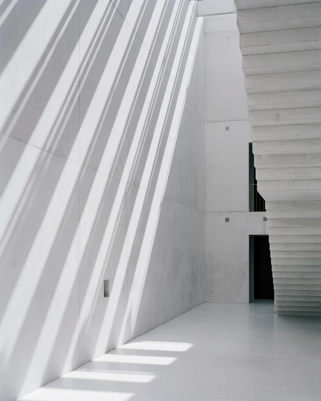 Daniela-Tonatiuh—TRF—004--2013