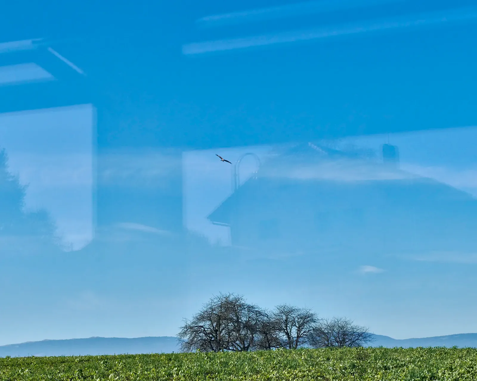 Daniela-Tonatiuh—BERCHER—007--2021