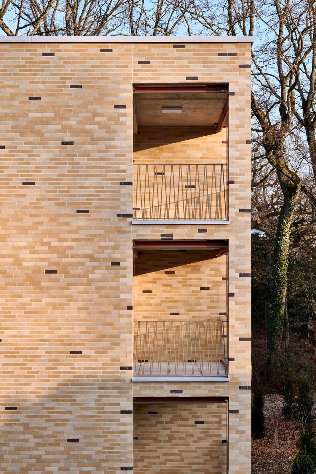 Daniela-Tonatiuh—CORPUS_BELL—008--2022