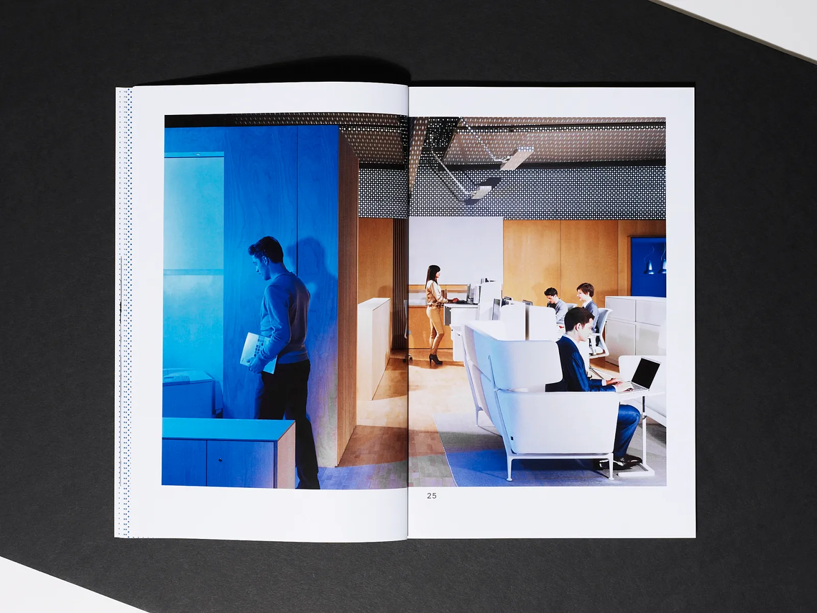 Daniela-Tonatiuh--VITRA-OFFICE-005--2010