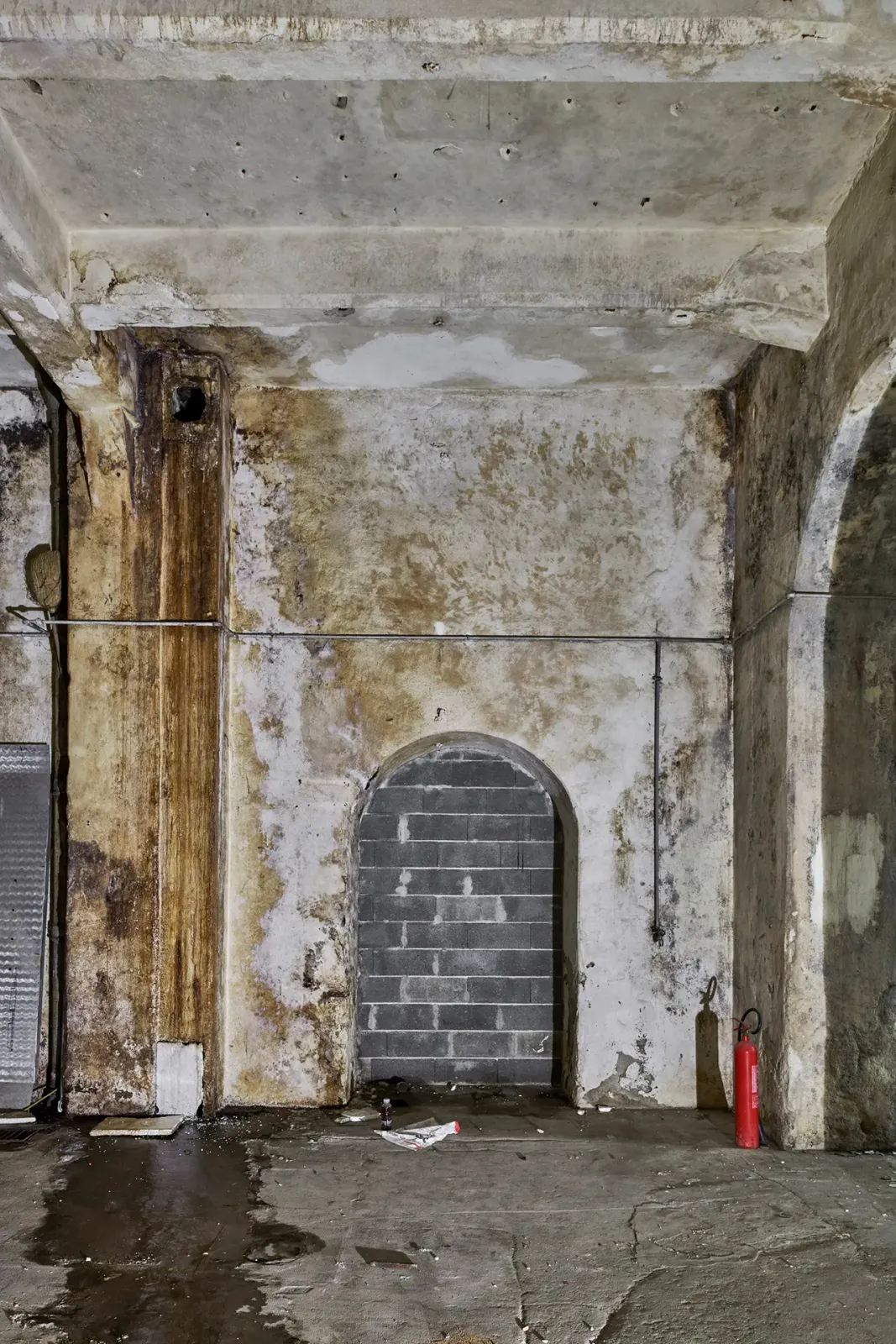 Daniela-Tonatiuh—FLON—005--2021