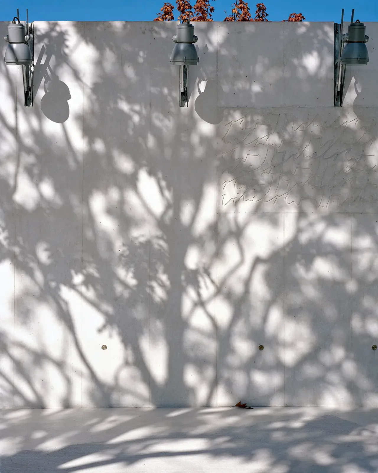 Daniela-Tonatiuh—FJM_ARCHI—0020--2018