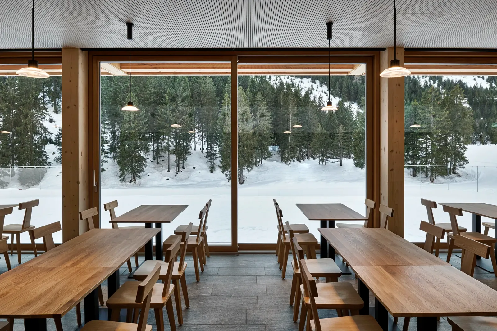 Daniela-Tonatiuh—CAMPRA—006--2019