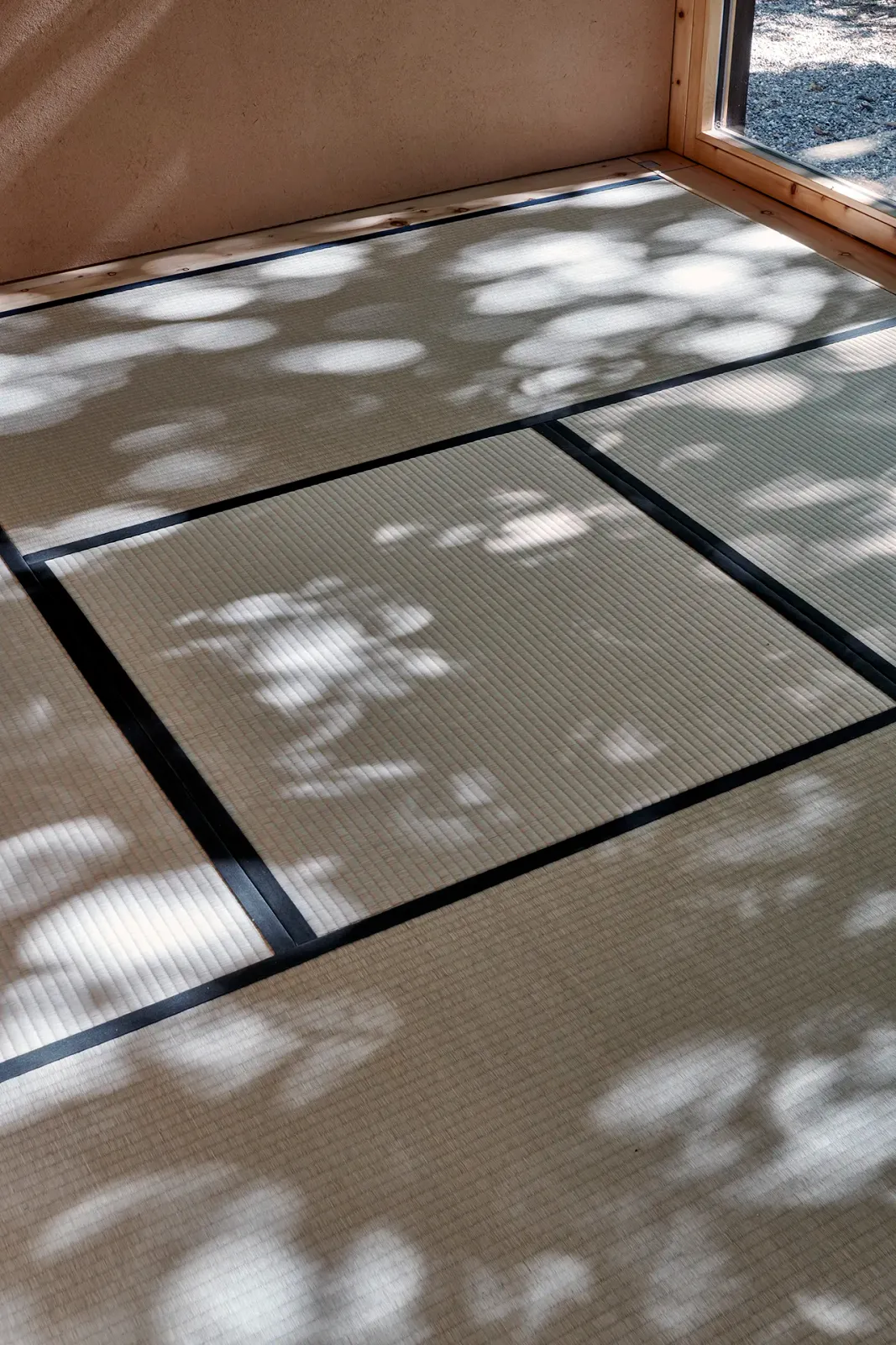 Daniela-Tonatiuh—DENTELLA—005--2021