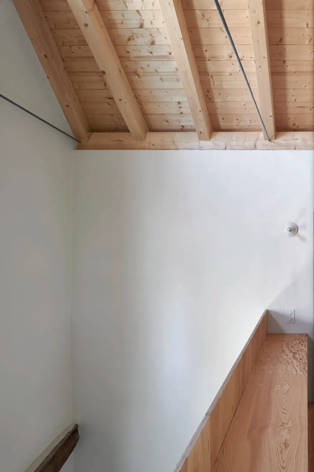 Daniela-Tonatiuh—t_REX_VERSCIO—009--2024