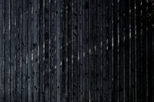 Daniela-Tonatiuh—NOVA_DI—0010--2020