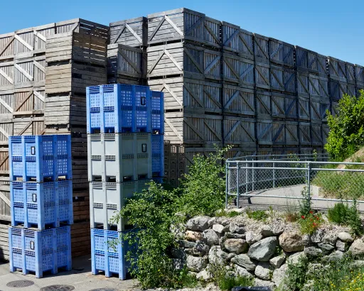 Daniela-Tonatiuh—BERCHER—011--2021