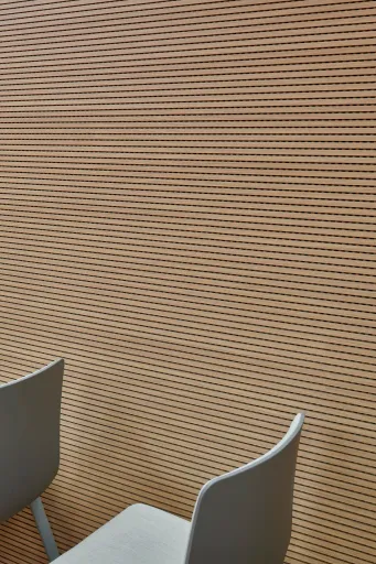 Daniela-Tonatiuh—OB_ECOGIA—009--2021