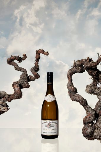 Daniela-Tonatiuh--DOMAINELACHAPELLE-007--2023