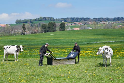 Daniela-Tonatiuh--EPFLECALLAB-EVOKA-001--2023