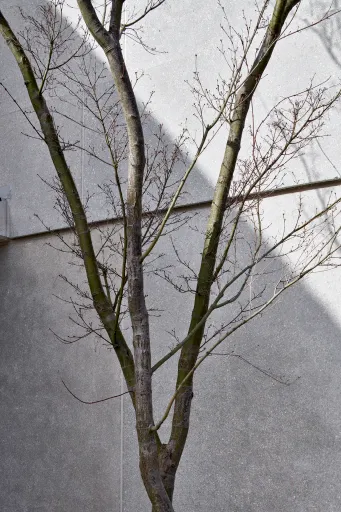 Daniela-Tonatiuh—CORPUS_GENTH—008--2021